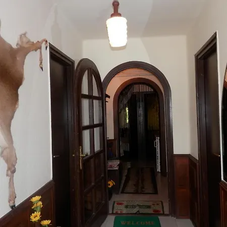 Apartman Napsugar Vendeghaz Konukevi *