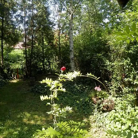 Apartman Napsugar Vendeghaz * Eğri