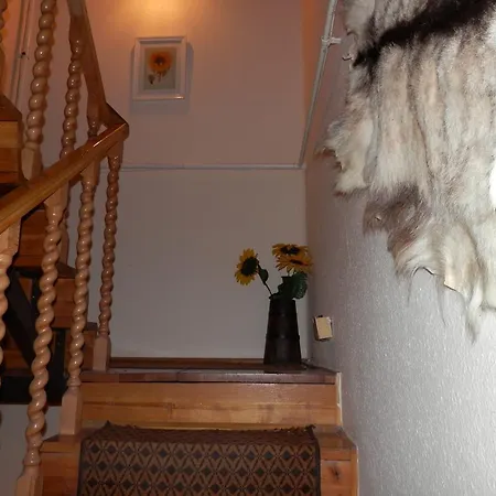 Apartman Napsugar Vendeghaz